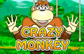 Crazy Monkey